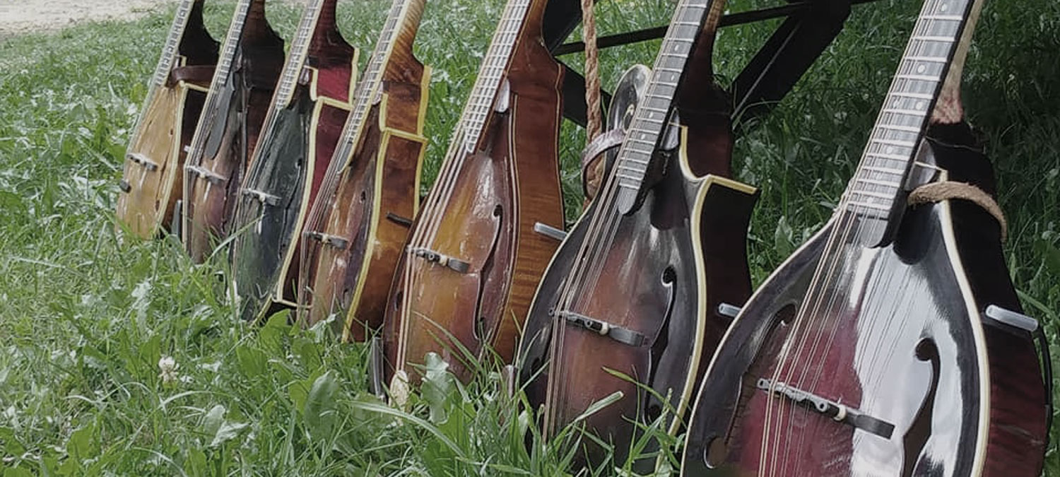 mandolins